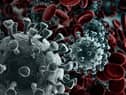 10 coronavirus variants are currently being monitored by scientists in the UK (Photo: Shutterstock)