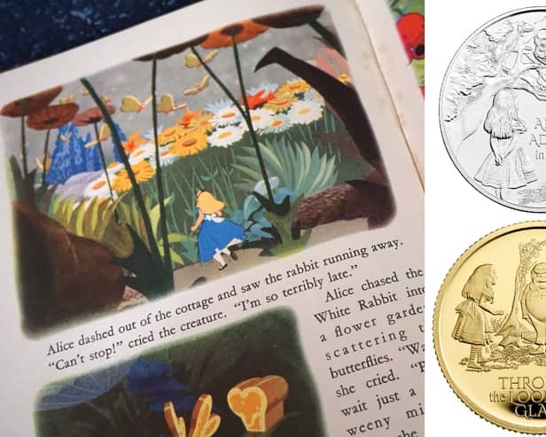 One coin features the scene where Alice meets the Cheshire Cat, while the other stars the twins Tweedledum and Tweedledee (Photo: Shutterstock/PA Media)
