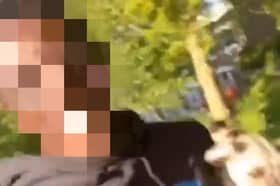 The Met Police said the teenager is currently being held in police custody over a series of prank videos on TikTok. 