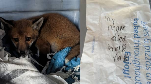 The fox cub was discovered in the village of Langley Moor, Durham in a carrier bag.  Inside there was also a message penned on the back of a paper Greggs bag.