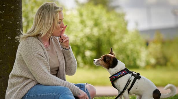Top 10 scariest and friendliest dog breeds revealed 