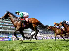 Epsom racecourse are on high alert for activists ahead of Derby Day