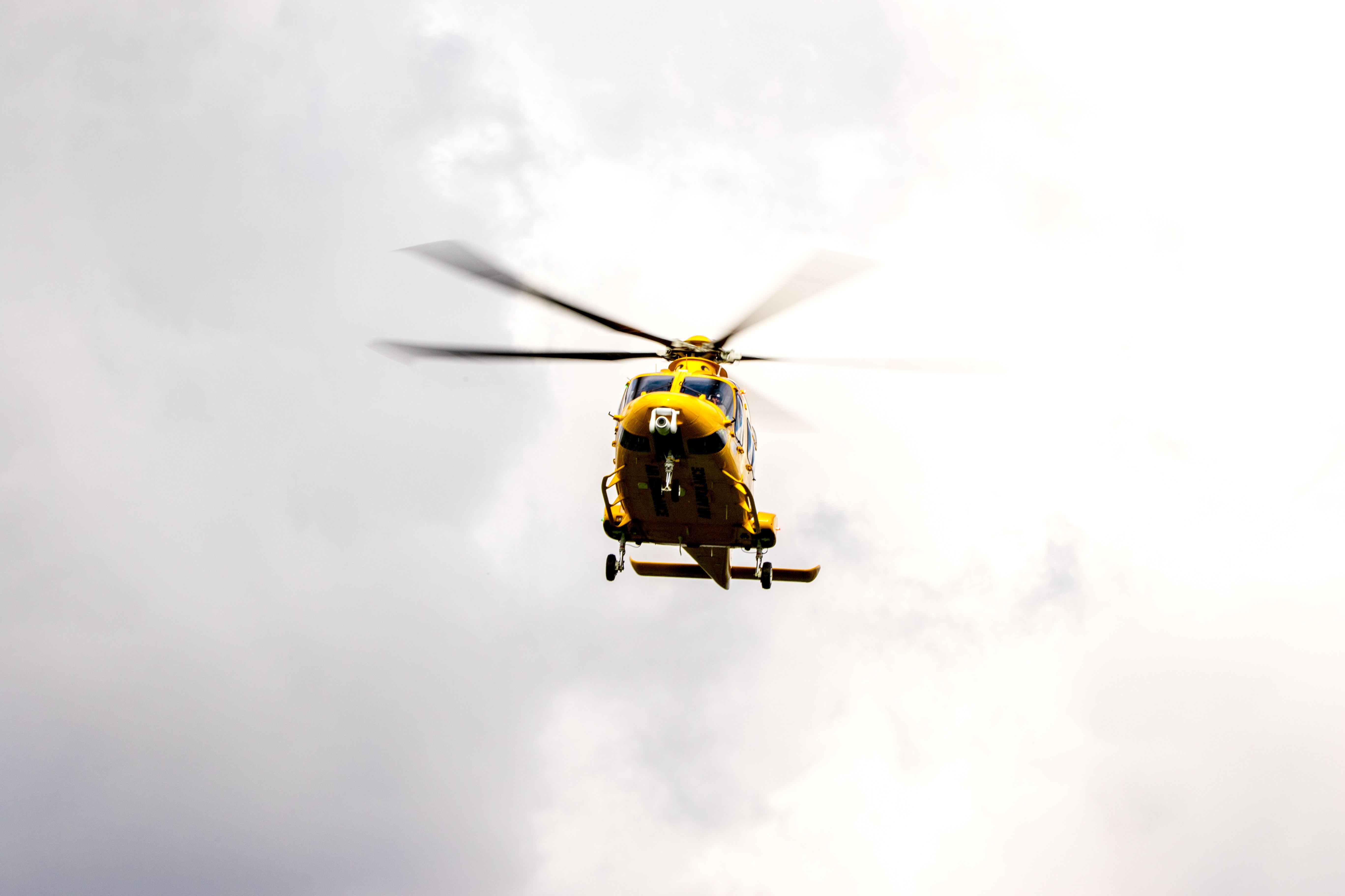 Child, 11, seriously injured after being mauled by a dog