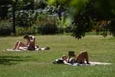 Sunbathers in St James’ Park, London.