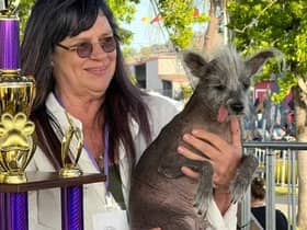 World’s Ugliest dog 2023  -Scooter - and his owner Linda Celeste Elmquist