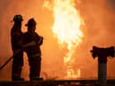 11 pet dogs were killed in a fire at private dog kennels in Staffordshire, the police said.