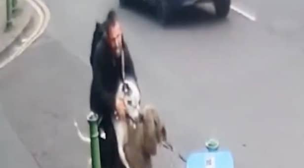 Police are looking to speak to the dangerous bull-breed’s owner in relation to the horrifying incident.