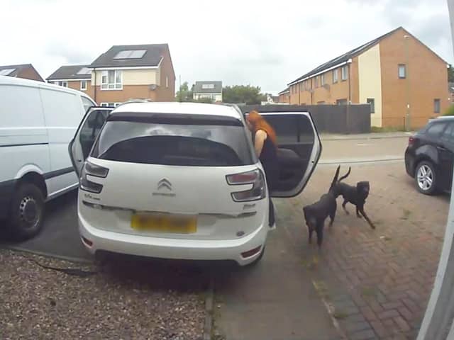 CCTV capturing the moment two dogs enter a family home in Chelmsley Wood, Birmingham, and savage two cats to death.