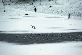 A person walks through an icy park.
