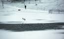 A person walks through an icy park.