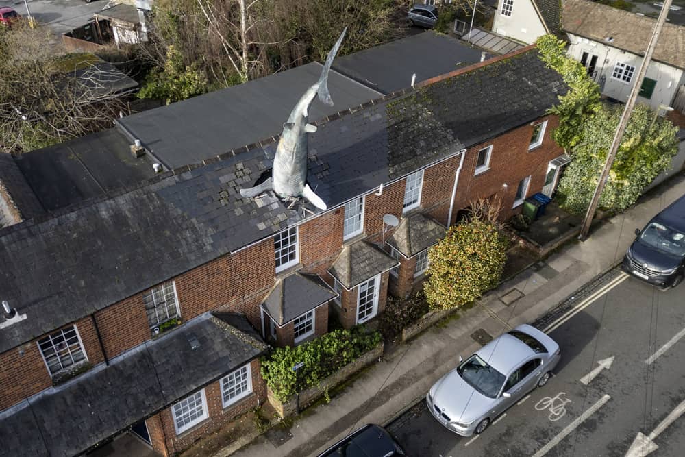 The owner of a world-famous house with a 25ft shark sticking out of the roof has been banned from renting it out on Airbnb Picture: Tom Wren / SWNS