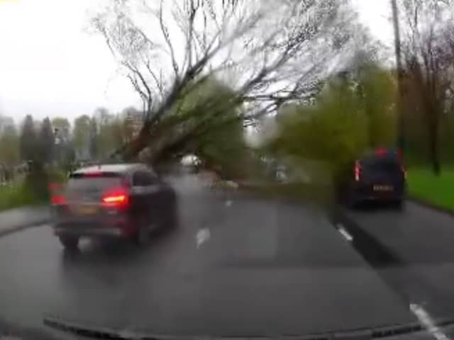 Dashcam footage of the moment a tree was blown onto Princess Road in Manchester during high winds on Monday April 15 2024. 