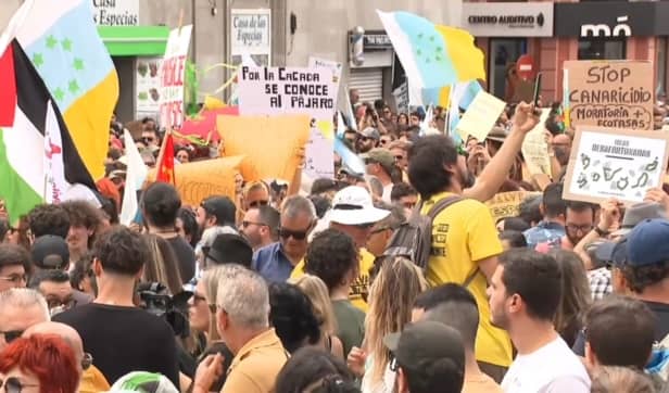 Canary Islands protest over mass tourism.