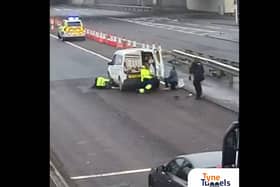 Ducklings cause chaos near the Tyne Tunnel during rush hour