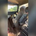 Elephant uses trunk to rummage for snacks in tourists’ Jeep.