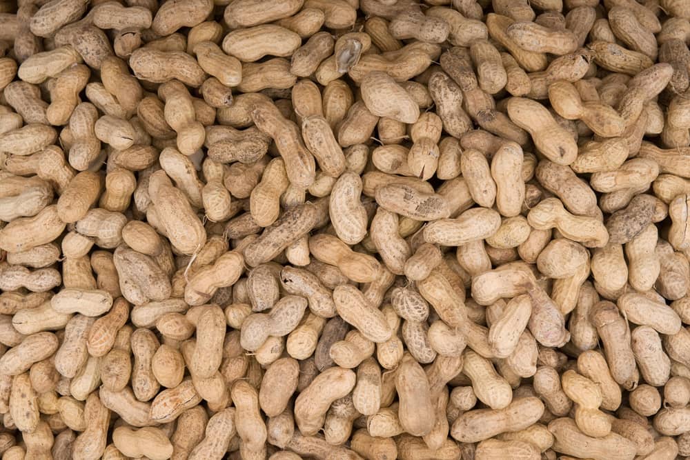 Chocolate company Prestat has recall some of its items due to an undeclared peanut allergen (Photo by AFP via Getty Images)