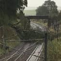 Passengers are being advised not to travel north of Preston due to a tree being caught in the overhead electric wires between Motherwell and Lockerbie, which is blocking all lines.