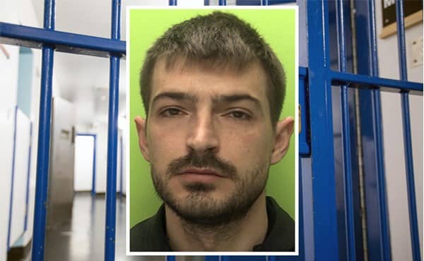 Arnold Elezi jailed for growing cannabis
