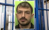 Arnold Elezi jailed for growing cannabis