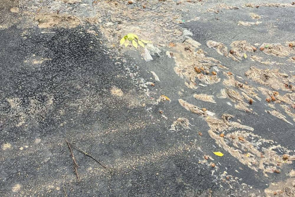 Sewage running through the streets at Whitstable Heights.