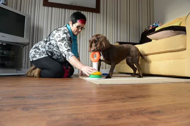 Bella, the trick dog, with owner Lynn Stacey in 2015.