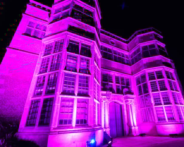 A scene fromAstley Illuminated 2023. Photo: Kelvin Stuttard