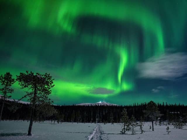 I took a trip to Lapland to see the Northern Lights! 