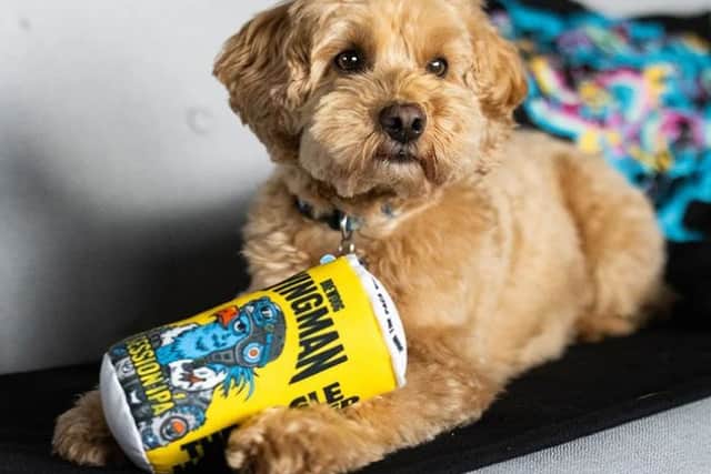 You can even treat your best buddy to a beery gift
