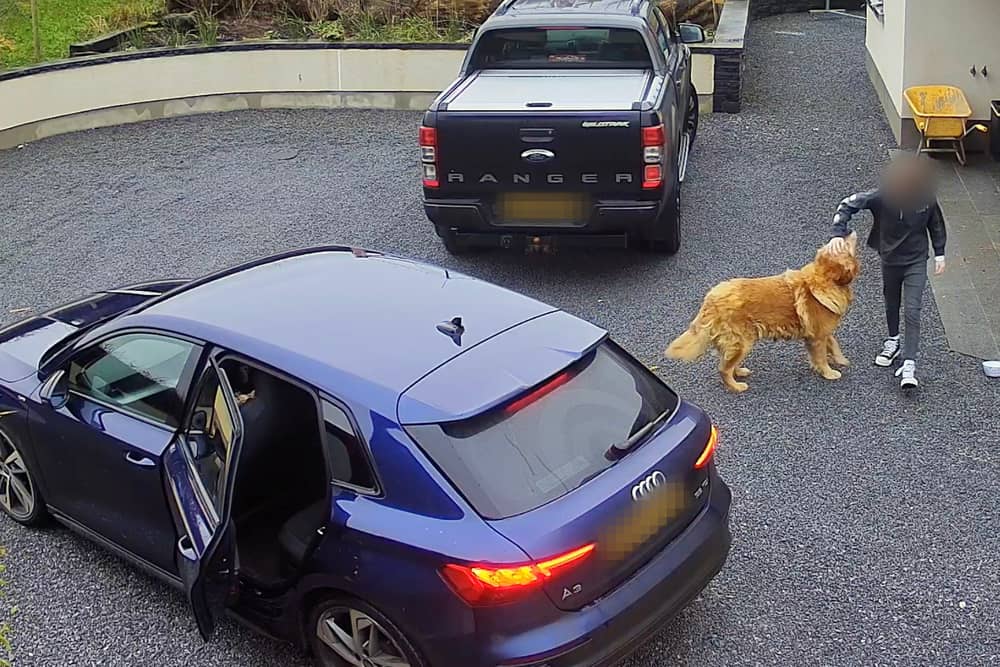 Hilarity ensues as pooch steals turkey crown from car in Armagh, Northern Ireland, leading to a game of chase which ended in woman leaving empty handed as crafty canine refused to give up the bird. 