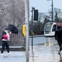 Pedestrians battle Storm Éowyn’s strong winds on Princes Street.