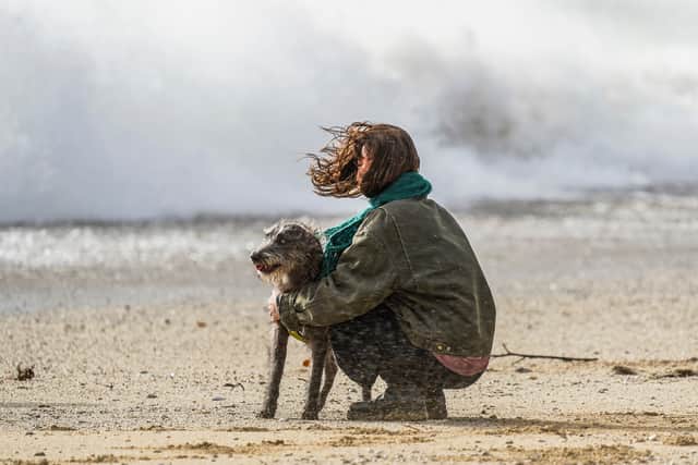 Whilst it can be tempting to make sure your dog gets their walk, stormy weather can be dangerous.