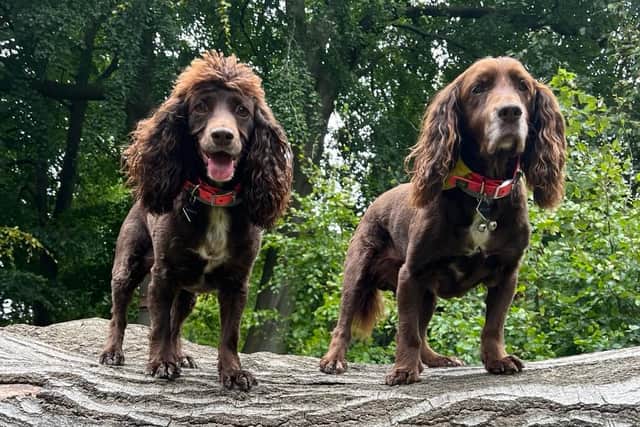 Nancy, left, with her best friend Bella who died recently aged 13.