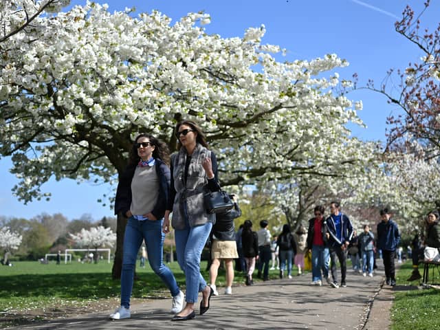 People walk in the park.