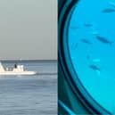 Sindbad submarine.