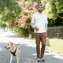 There’s nothing better than taking your dog for a walk.
