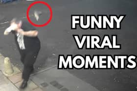 Thumbnail image for Caught on Camera Viral moments 2 episode