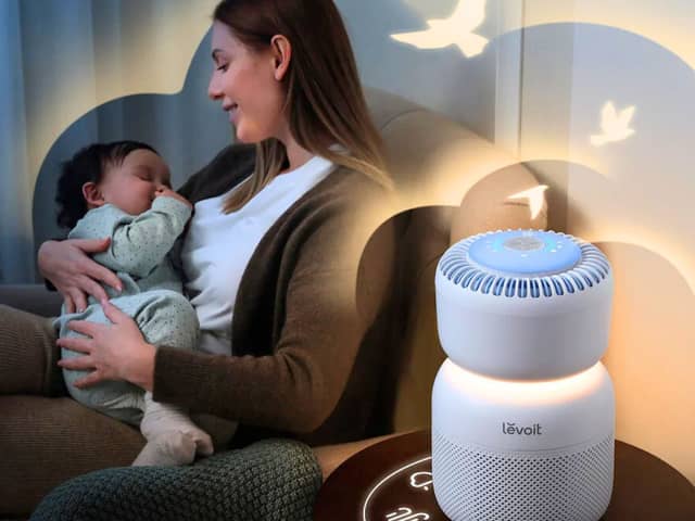 Air purifiers in your home are on the rise but are they worth buying? I put the Levoit brand to the test 