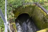 Sewage is discharged into Earlswood brook from a nearby treatment works, run by Thames Water in April 2023 in South Earlswood, England (Photo: Dan Kitwood/Getty Images)