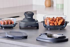 Ninja's CRISPi air fryer is incredibly compact - and its two containers are genuinely portable