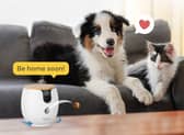 Furbo also makes cheaper, more compact cameras