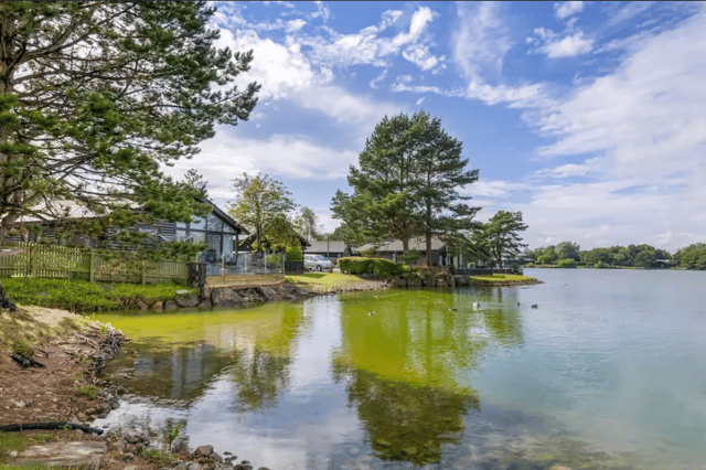Pine Lake Resort
