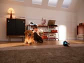The Enabot Ebo Max combines a 4K mobile camera, two-way calls and pet tracking in one compact home robot.