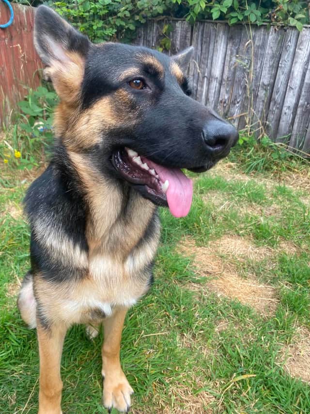 Zena