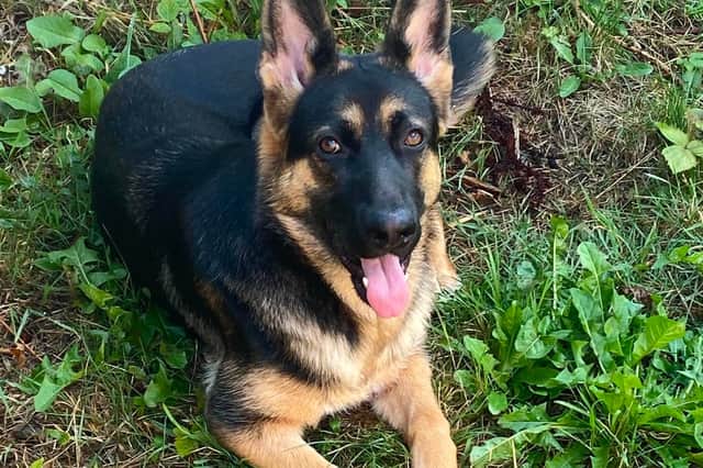 Zena needs surgery
