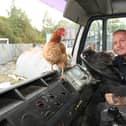 Wayne Erfmann with one of his errant chickens