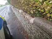 The wall from which Craig Barker stole coping stones