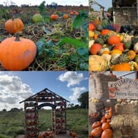 10 perfect places in and around Wigan borough for pumpkin picking