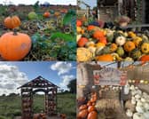 All of these are perfect for a visit before Halloween!