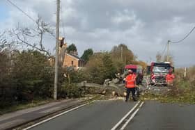 The damaged electric pole on Slag Lane
