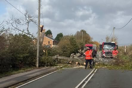 Latics Tree Council set up rest centre
